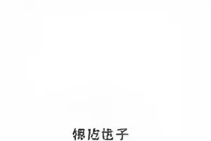 《沉默的播报员》所谓片源截图与预告片逐帧比对，标出七处差异